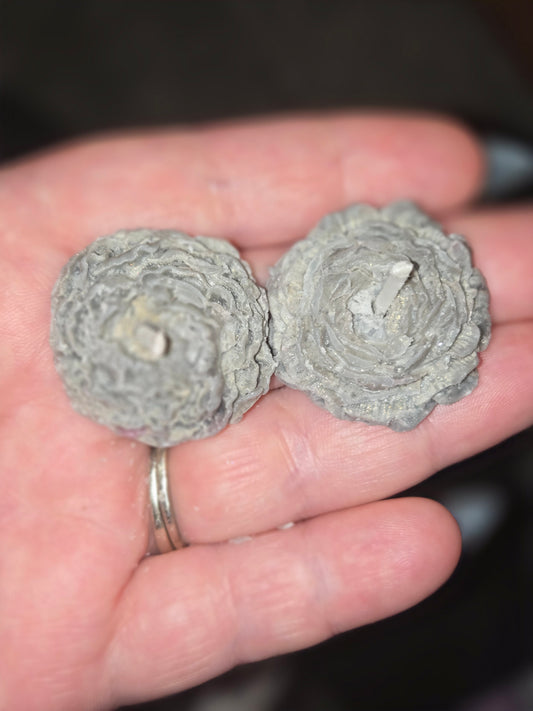 Anubis floral tealight candles