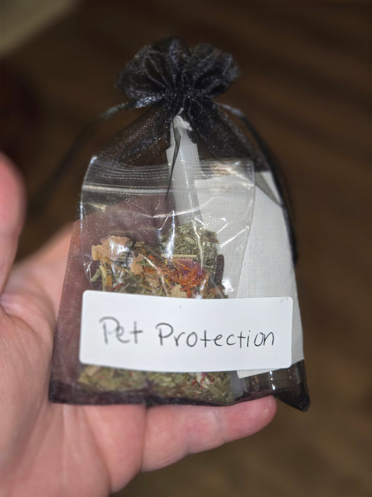 Pet protection DIY spell jar kit