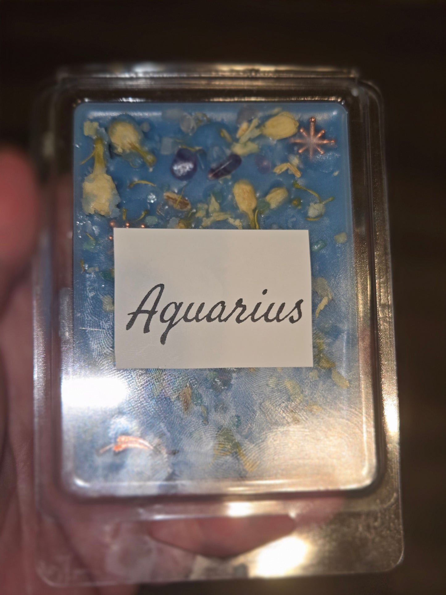 Aquarius zodiac 2 oz candle and matching wax melt